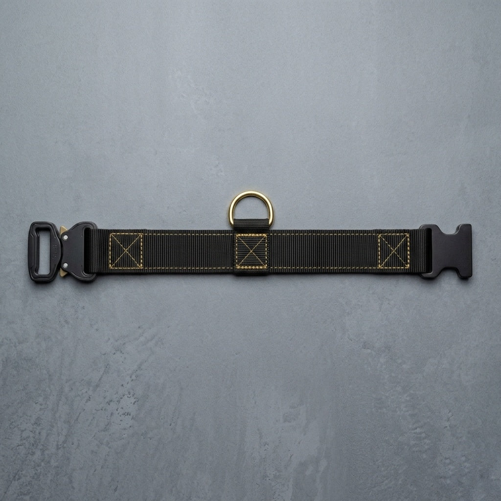 Tactical Dog Collars — Custom Embroidered, Metal Buckle,  Personalized