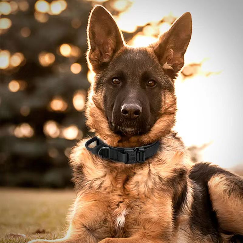 Cross-Border Tactical Dog Collar, Strong Anti-Breakage And Explosion-Proof Dog Leash, Horse Dog Golden Retriever German Shepherd Hound Collar, Medium And Large Dog Collar
