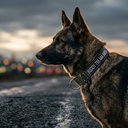 Personalized Tactical Dog Collar | Custom Embroidered Name & Phone | Cobra Buckle | Reflective | Large Breed | Black, Green, Navy — K9 Forge